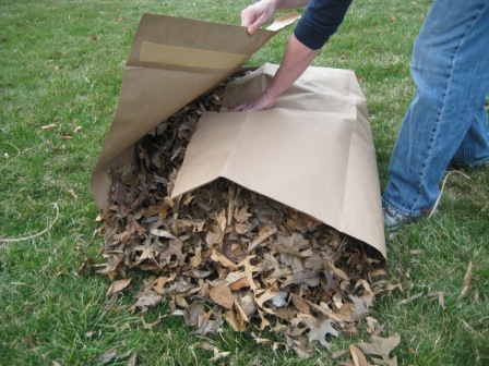 Green waste of any kind can be disposed of responsibly by our trash hauling team of yard cleaning experts. 